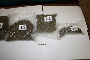 Slika A Nove Fotke/droga-rab.JPG